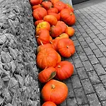 Les Atypiques De Nico Bush - Parking Securise Velos * Tournai