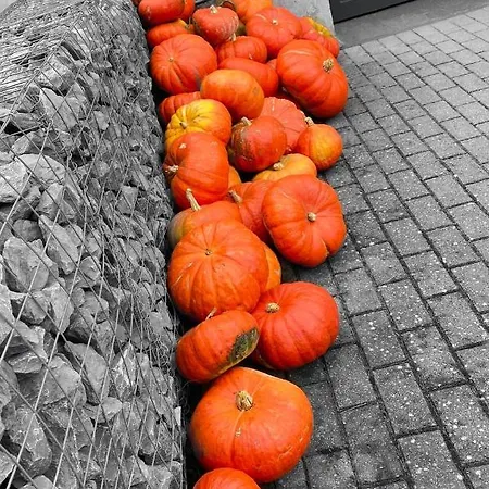 Les Atypiques De Nico Bush - Parking Securise Velos * تورناي