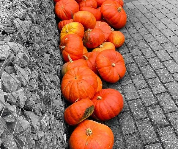 Les Atypiques De Nico Bush - Parking Sécurisé Vélos * Tournai